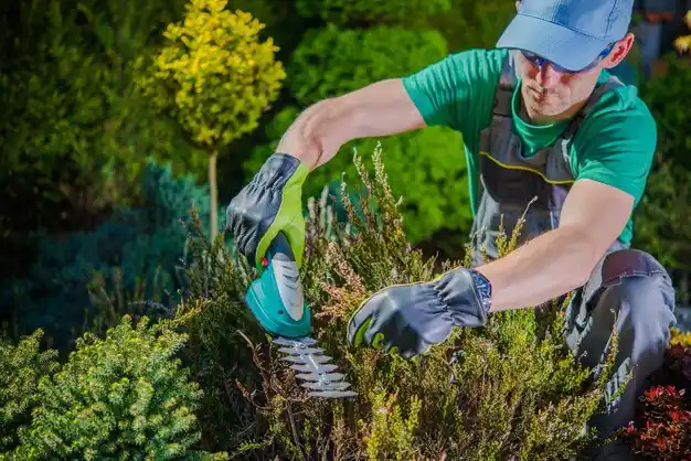landscaping services Tarkio